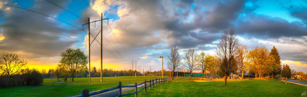 Craig Henry Park