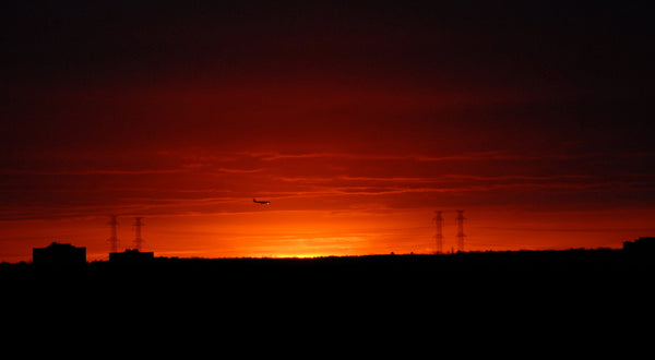 Print - Red Eye Flight - Print
